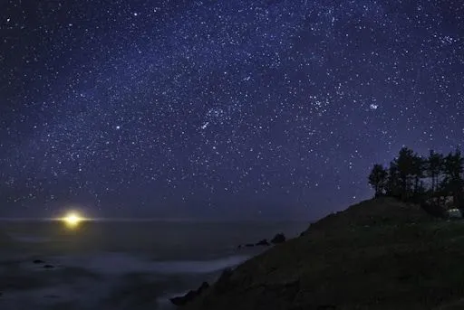 TreeCreativity.com: Noche estrellada