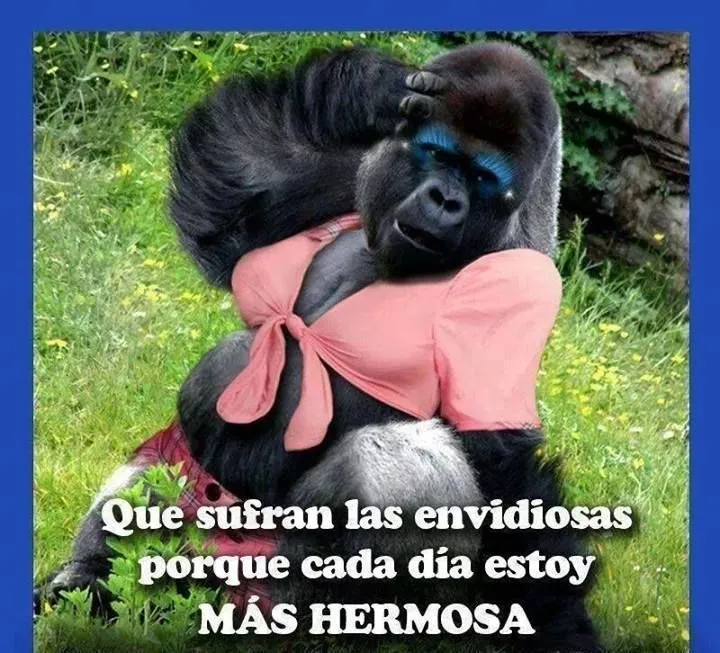 imajenes para subir al face | Imágenes para el Facebook chistosas ... imajenes para subir al face | Imágenes para el Facebook chistosas ...