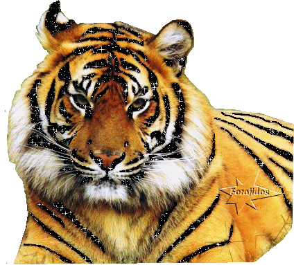 El taller de la brujaMar: Gifs de animales; para adornar tu sitio El taller de la brujaMar: Gifs de animales; para adornar tu sitio