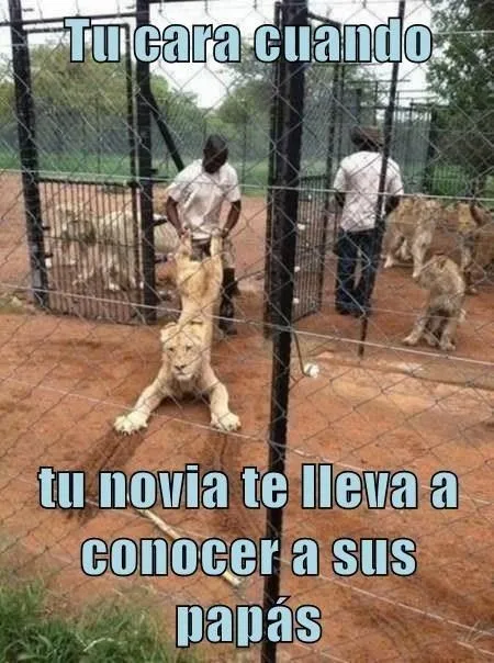 Tretente — Obligaciones de pareja Más publicaciones...