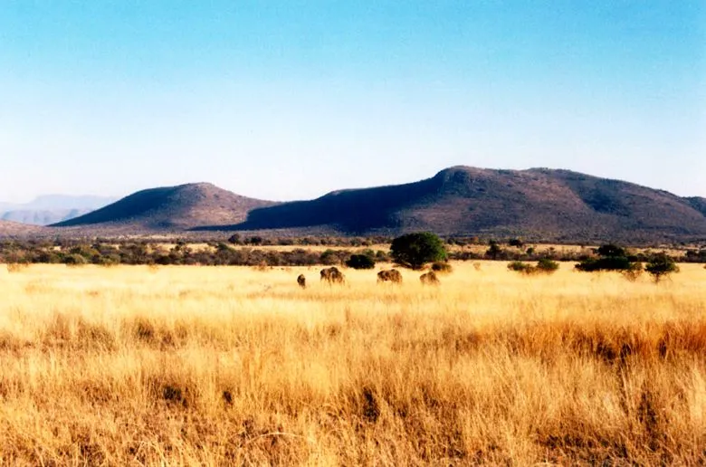 Savana africa - Imagui