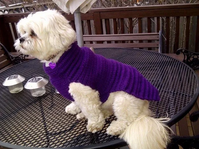 TRICO y CROCHET-madona-mía: Trajes para perros-(cachorro) modelo ...