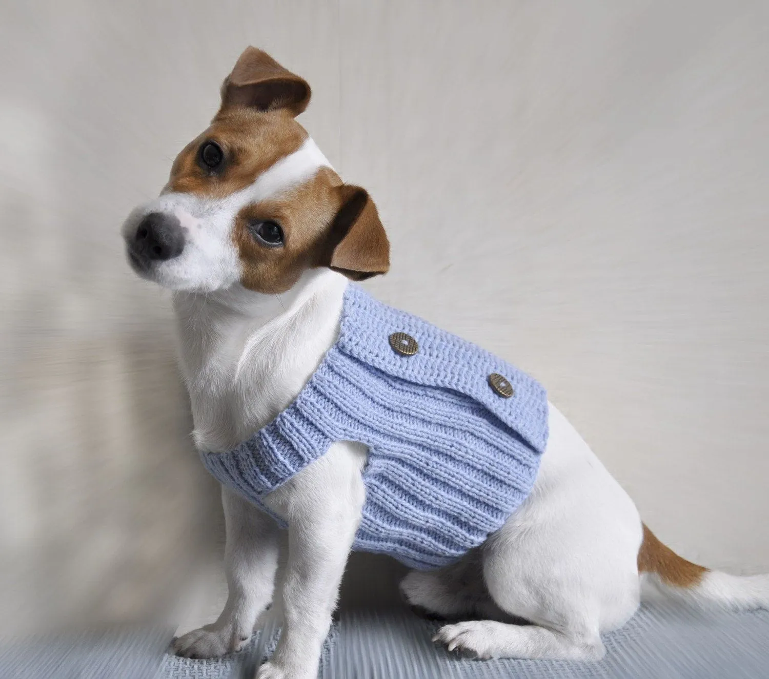 TRICO y CROCHET-madona-mía: Trajes para perros-(cachorro) modelo ...