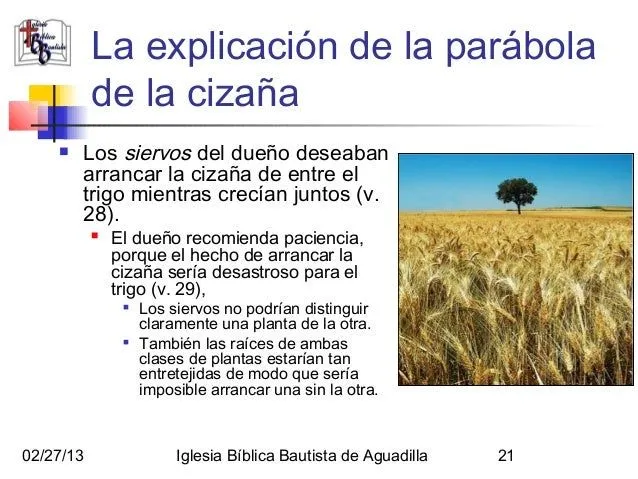 El Trigo y la Cizaña, La Red y los Peces