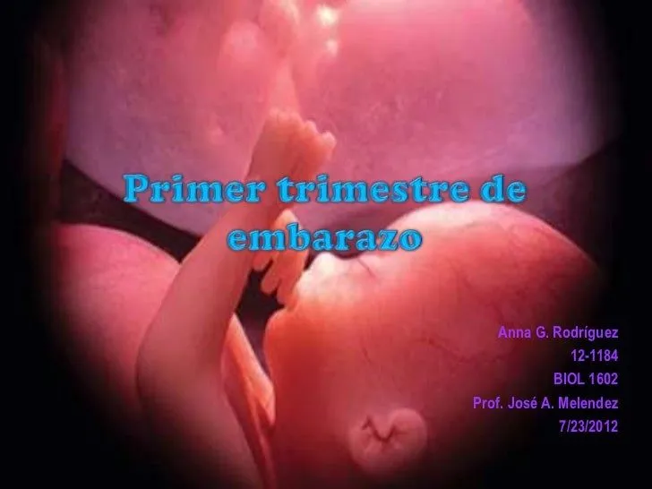 Primer trimestre de embarazo