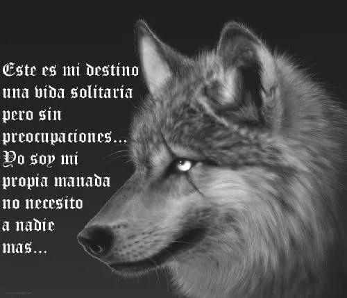 Desde mi Trinchera.....: soy un lobo solitario