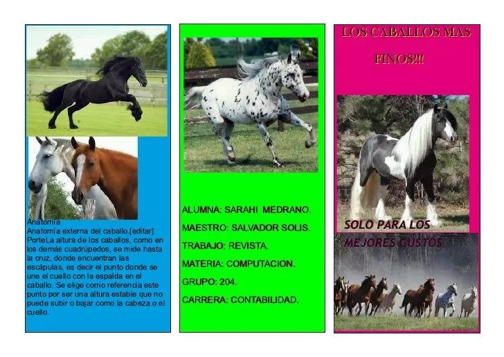 triptico-1-728.jpg?cb=1340372105