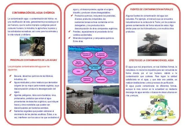 Triptico de la contaminacion del agua