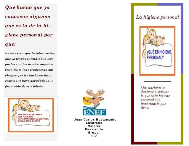 Triptico d desarrollo 1