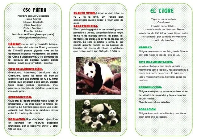 triptico-oso-panda-tigre-1-638 ...