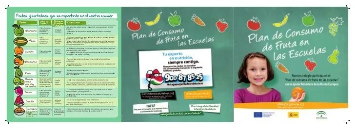 Triptico plan escuelas_2012