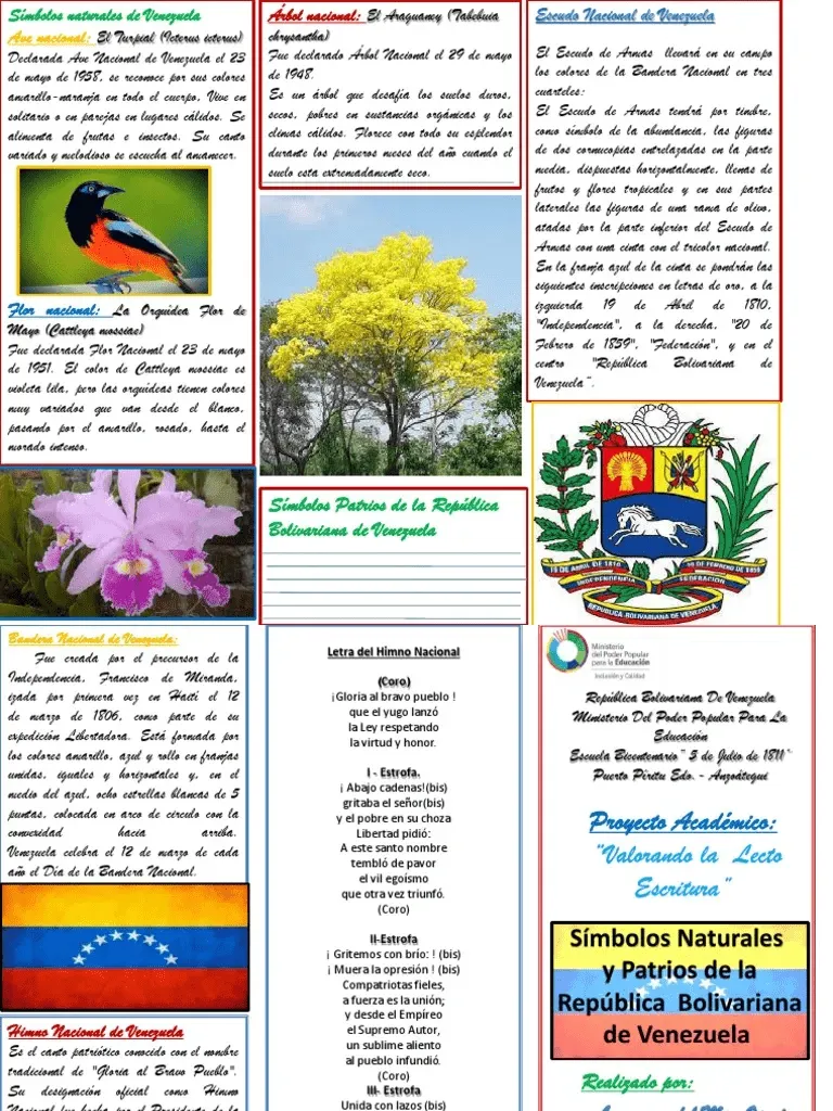 Tríptico de Símbolos Patrios y Naturales DE VENEZUELA | Simbolos patrios,  Venezuela, Simbolos nacionales Tríptico de Símbolos Patrios y Naturales DE VENEZUELA | Simbolos patrios,  Venezuela, Simbolos nacionales
