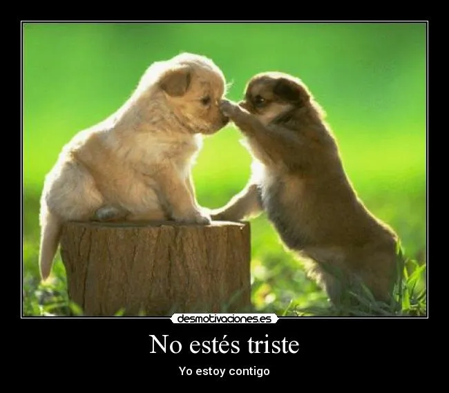 No estés triste | Desmotivaciones