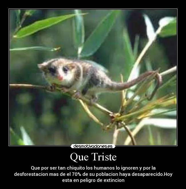 Que Triste | Desmotivaciones