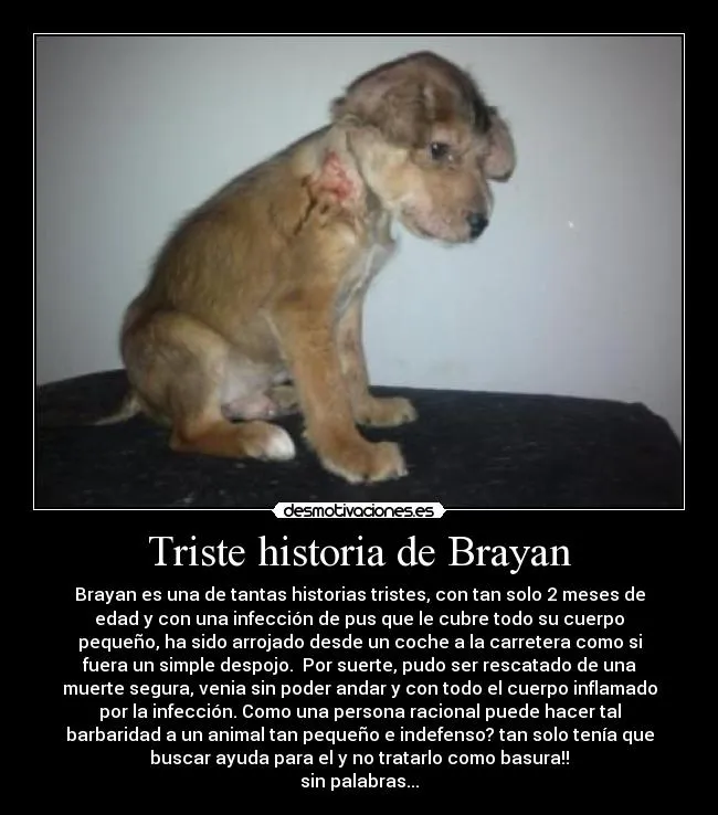 Triste historia de Brayan | Desmotivaciones