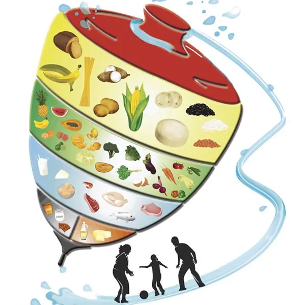 Qué es el Trompo de Alimentación? | Donar: Un acto de Solidaridad ... Qué es el Trompo de Alimentación? | Donar: Un acto de Solidaridad ...