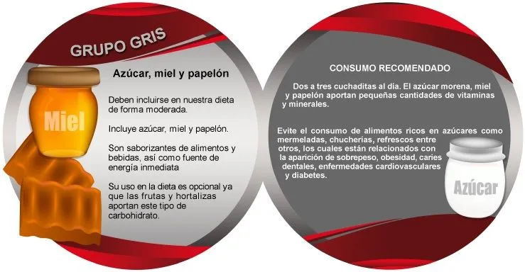 Clasificacion de los alimentos del trompo alimenticio - Imagui