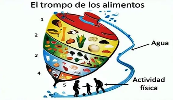 ▷ Trompo Alimenticio: DIBUJOS para COLOREAR - para Niños ▷ Trompo Alimenticio: DIBUJOS para COLOREAR - para Niños