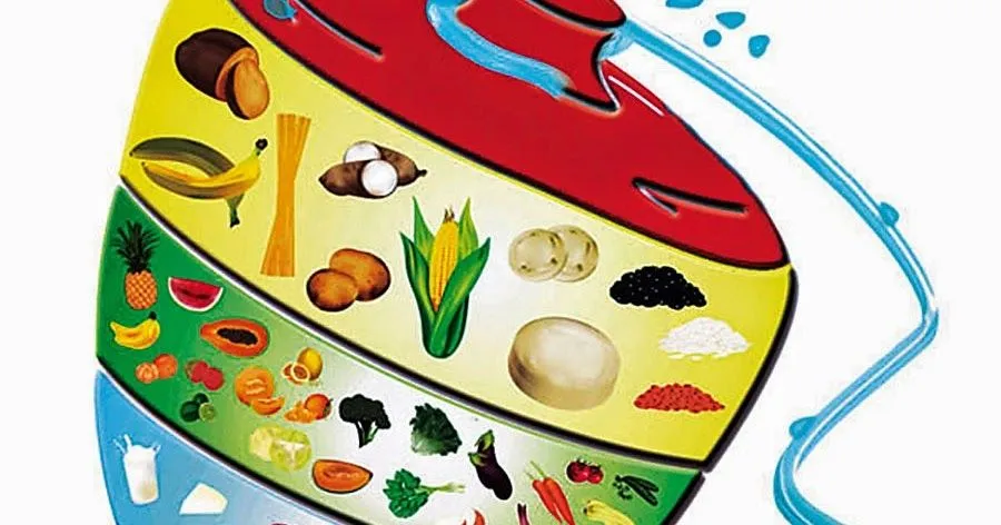 EL TROMPO ALIMENTICIO PARA NIÑOS Y NIÑAS! | Educación Preescolar ... EL TROMPO ALIMENTICIO PARA NIÑOS Y NIÑAS! | Educación Preescolar ...