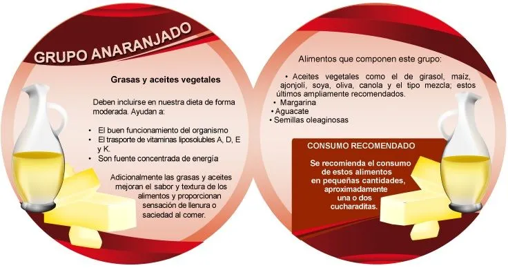 Trompo alimenticio (Nutrición para la vida) - Identi Trompo alimenticio (Nutrición para la vida) - Identi