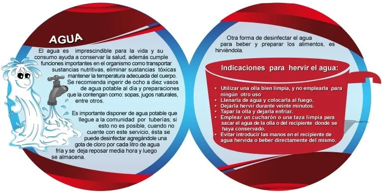 Trompo alimenticio (Nutrición para la vida) - Identi Trompo alimenticio (Nutrición para la vida) - Identi