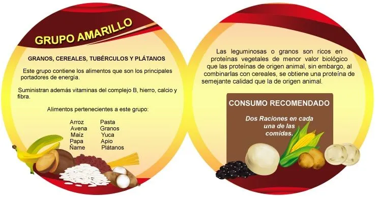 Trompo alimenticio (Nutrición para la vida) - Identi