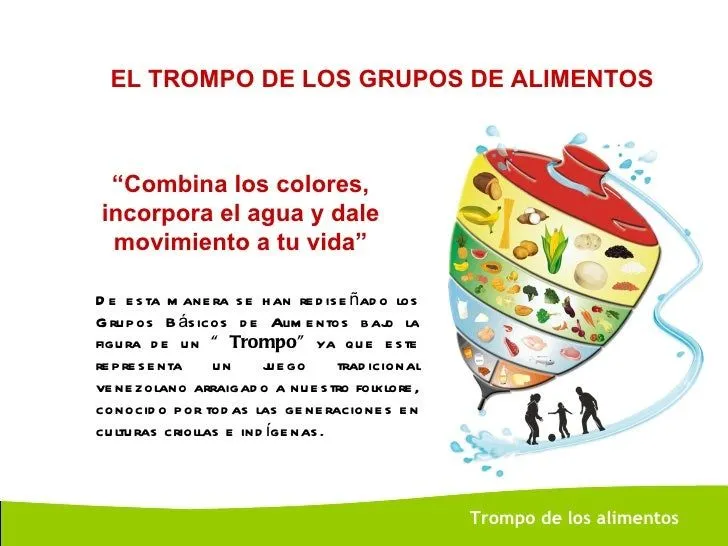 El trompo alimenticio y sus partes - Imagui