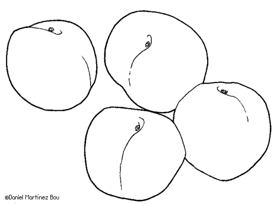 Trompo de los alimentos dibujos para colorear - Imagui Trompo de los alimentos dibujos para colorear - Imagui