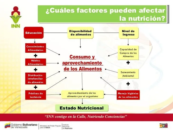 Trompo De Alimentos Dcd Final