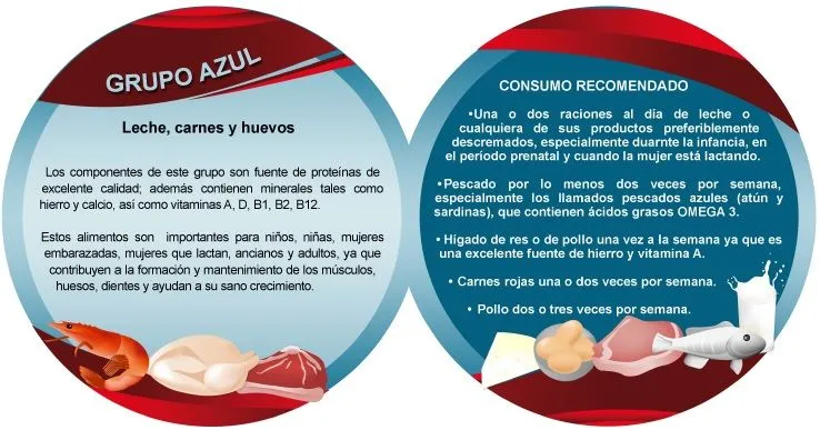 Trompo de los alimentos y sus franjas - Imagui