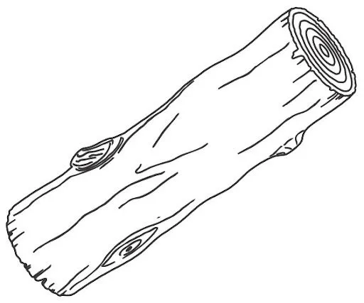 El tronco para colorear - Imagui