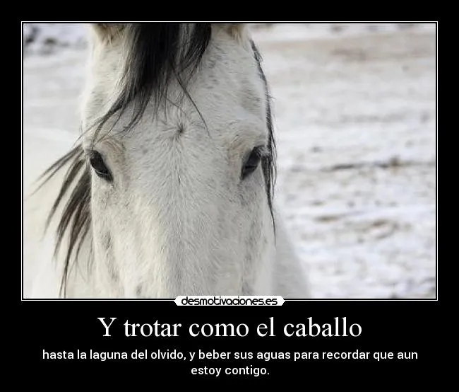 Y trotar como el caballo | Desmotivaciones