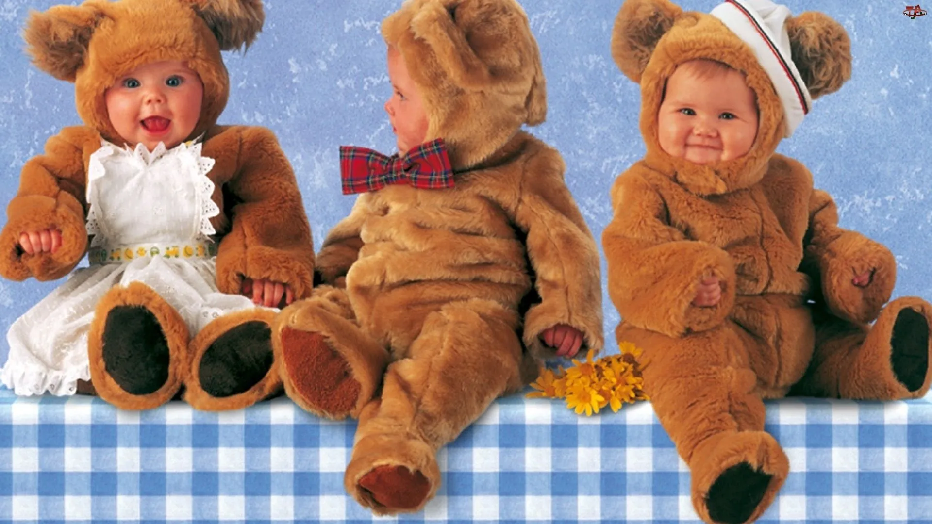 Trzy, Anne Geddes, Ma?e, Misie - Tapety.Tja.pl Trzy, Anne Geddes, Ma?e, Misie - Tapety.Tja.pl