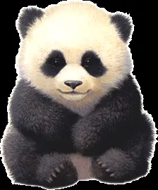 Tube oso Panda | Blog de imágenes
