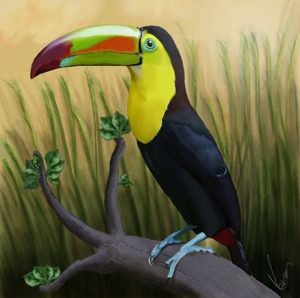 Tucan