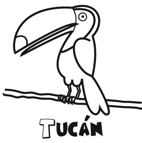 Imprimir: Tucán: Dibujos para colorear