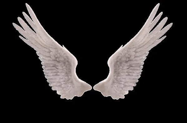 TUDO PARA PHOTOSCAPE.: Brushes de Asas de Anjo TUDO PARA PHOTOSCAPE.: Brushes de Asas de Anjo