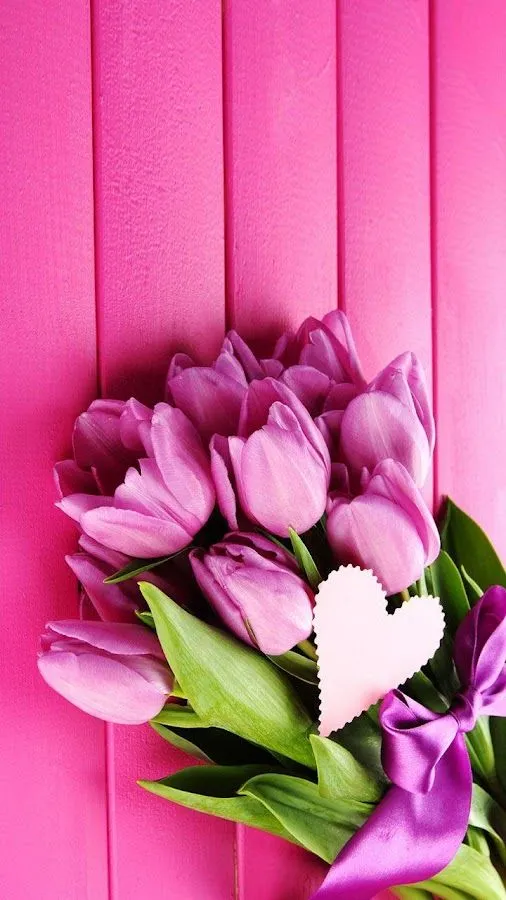 Tulipanes rosadas Fond Animado - Aplicaciones de Android en Google ... Tulipanes rosadas Fond Animado - Aplicaciones de Android en Google ...