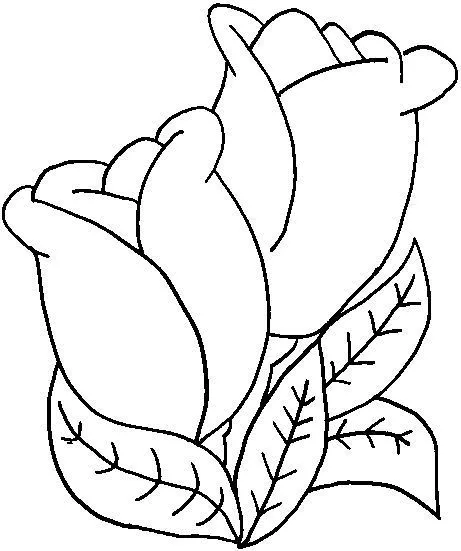 Tulipas para colorir | Desenhos para Colorir