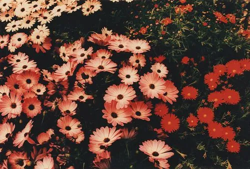 Tumblr margaritas - Imagui