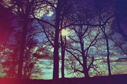 Tumblr paisajes de noche - Imagui
