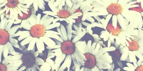tumblr pictures for twitter header - Google Search | Other ... tumblr pictures for twitter header - Google Search | Other ...