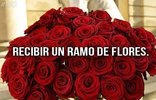 Tumblr Flores | Harley Special