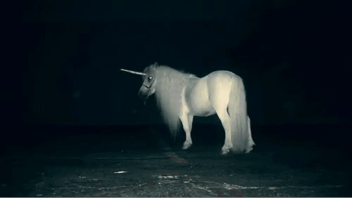 tumblr_lzi4tuXU1Y1ro3660o1_500.gif