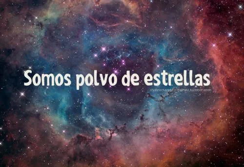 tumblr_mqgk5sBCHs1s02r3xo1_500.png
