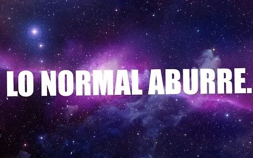 tumblr_mstwnarB8N1su9sb2o1_500.jpg