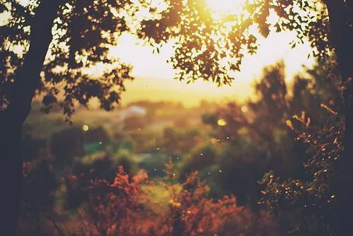 Imagenes de paisaje tumblr - Imagui