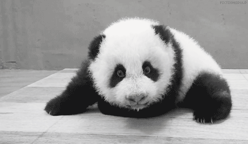 tumblr_n7r4rj8gKG1tcf6cpo1_500.gif