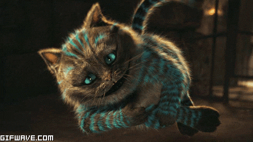 tumblr_ngniqnDbSz1s4o5jno1_500.gif