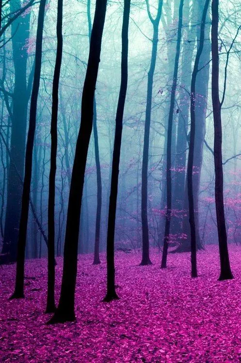 tumblr_nx0aurWNRu1rlbr1eo1_500.jpg